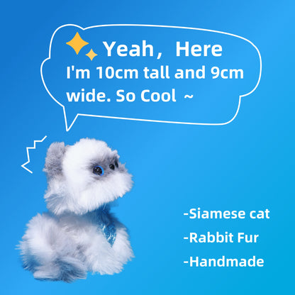 Fuzzy Siamese Cat: Finished Product & DIY Craft Kit